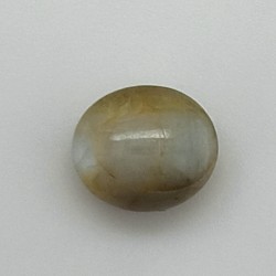 Cat's Eye (Lahsunia) 4.71 Ct Best Quality
